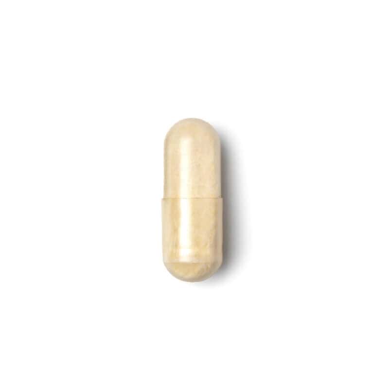 Gutbiota Max